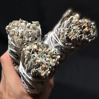 Salvie albă pentru Purificarea casei - Meditație - Aromaterapie