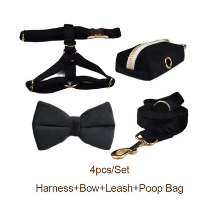 Set Deluxe pentru membrul pufos al familiei - Accesorii Deluxe din catifea neagra pentru catei - Accesoriile pot fi gravate (nu se vand personalizate!)