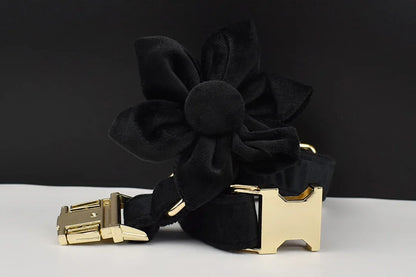 Set Deluxe pentru membrul pufos al familiei - Accesorii Deluxe din catifea neagra pentru catei - Accesoriile pot fi gravate (nu se vand personalizate!)