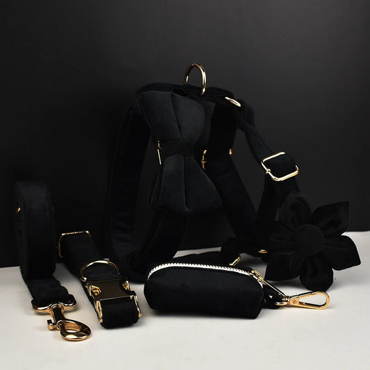 Set Deluxe pentru membrul pufos al familiei - Accesorii Deluxe din catifea neagra pentru catei - Accesoriile pot fi gravate (nu se vand personalizate!)