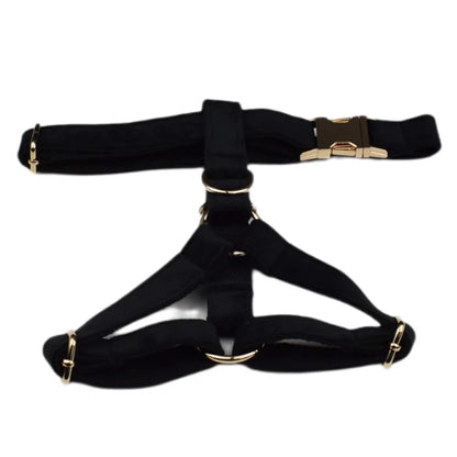 Set Deluxe pentru membrul pufos al familiei - Accesorii Deluxe din catifea neagra pentru catei - Accesoriile pot fi gravate (nu se vand personalizate!)